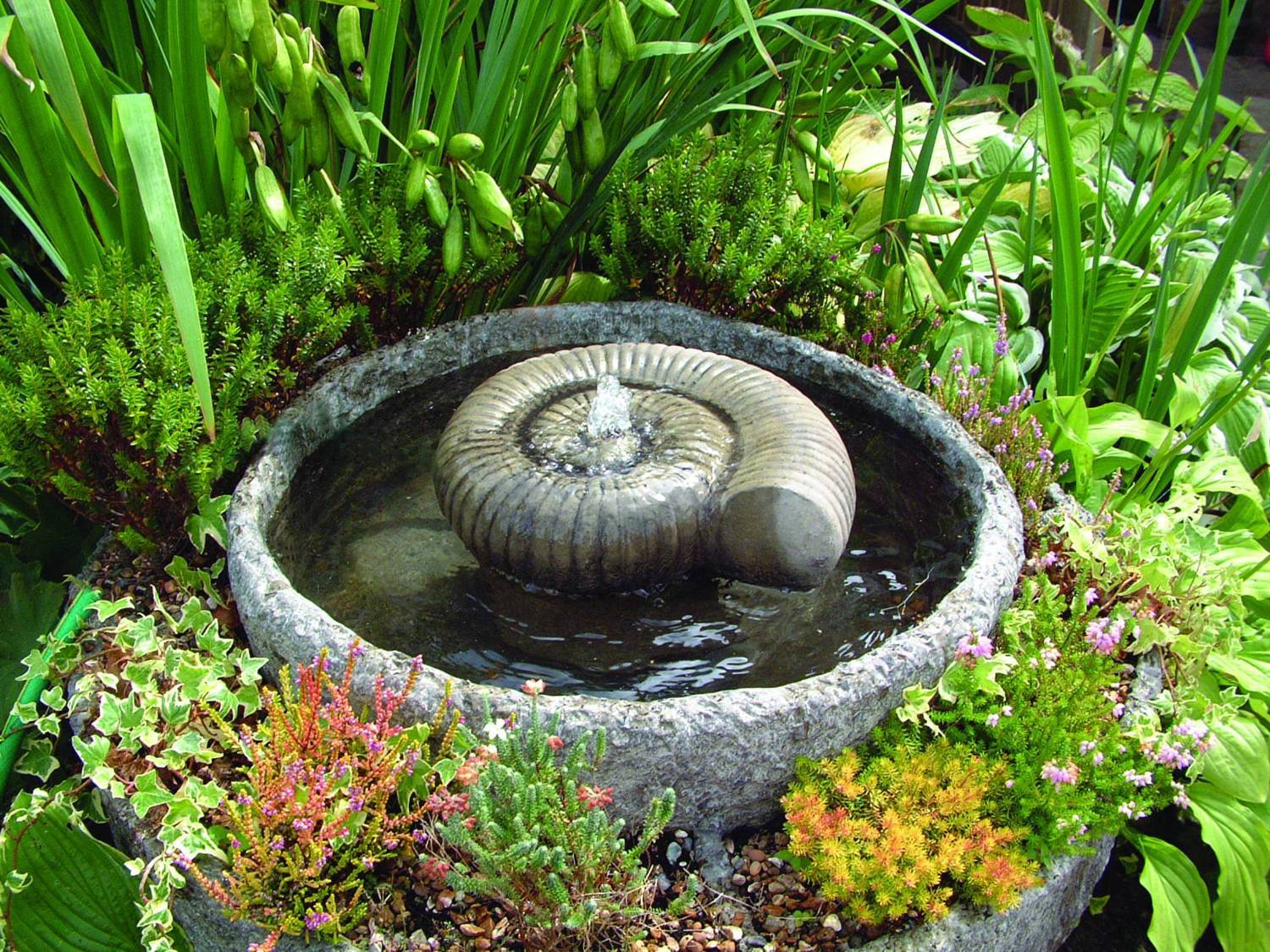 característica del agua del jardín