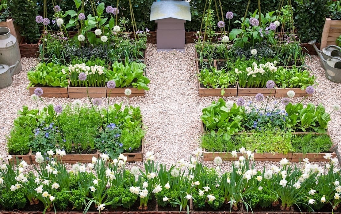 10 Best Home Garden Ideas To Enhance The Beauty of Home Garden