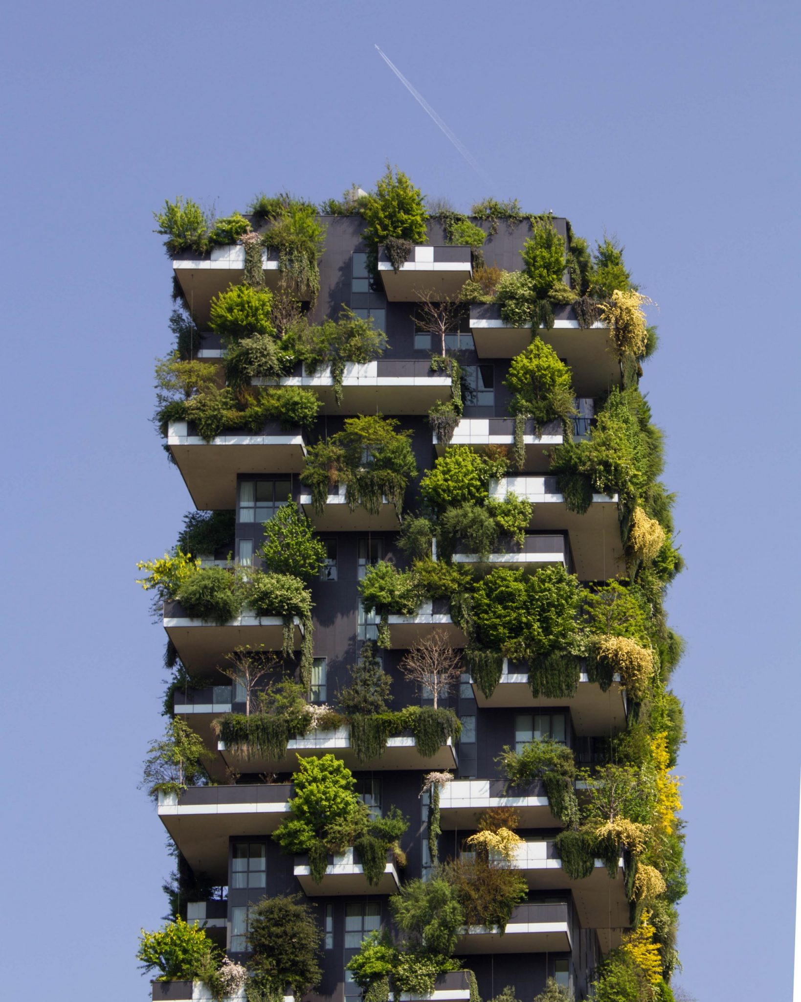 Eco Friendly Interior Design - green home