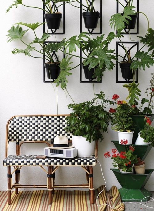 kitchen counter with plants