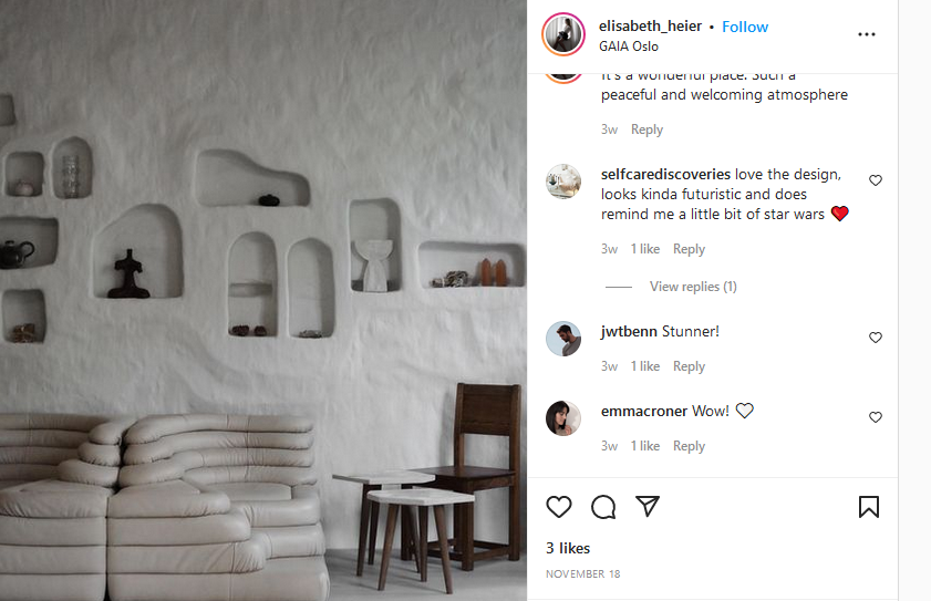 elisabeth heier - interior designer instagram