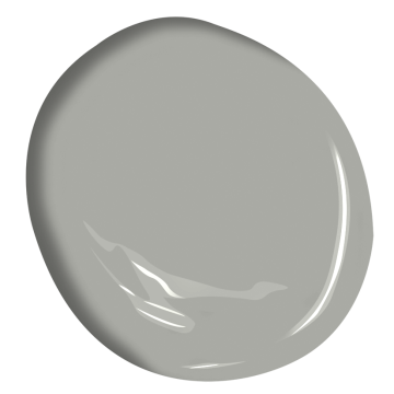 Platinum gray - neutral paint color