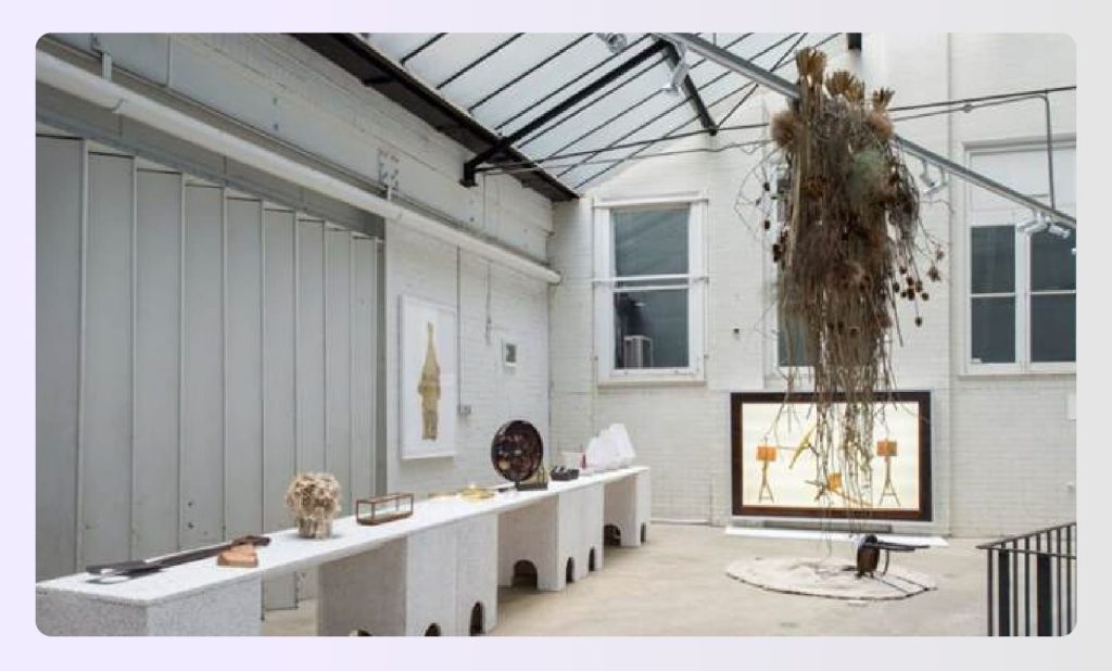 Eco friendly interior design with plants and natural light