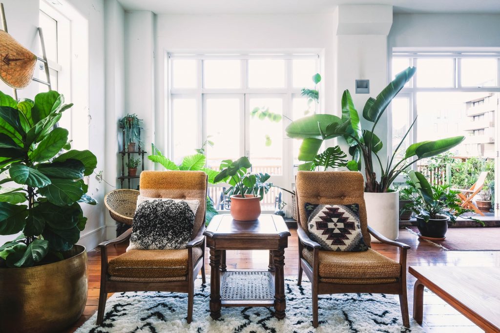 houseplants for healthy interior design spaces