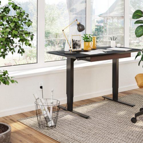 work from home essentials for your home office
