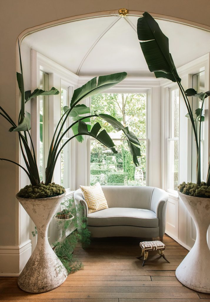 18 Ways To Incorporate Biophilic Interior Design Into Your Home Foyr 7123