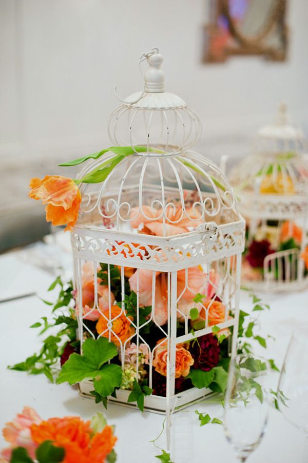 decorative bird cages for shabby chic interior design style