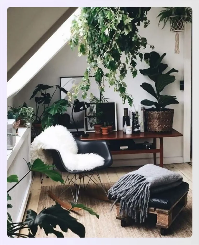 Cozy room corner filled with indoor plants