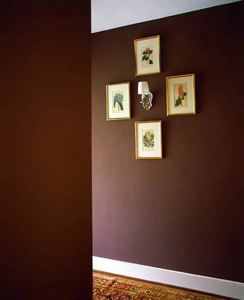 hallway color schemes - dark brown with tinges of cream