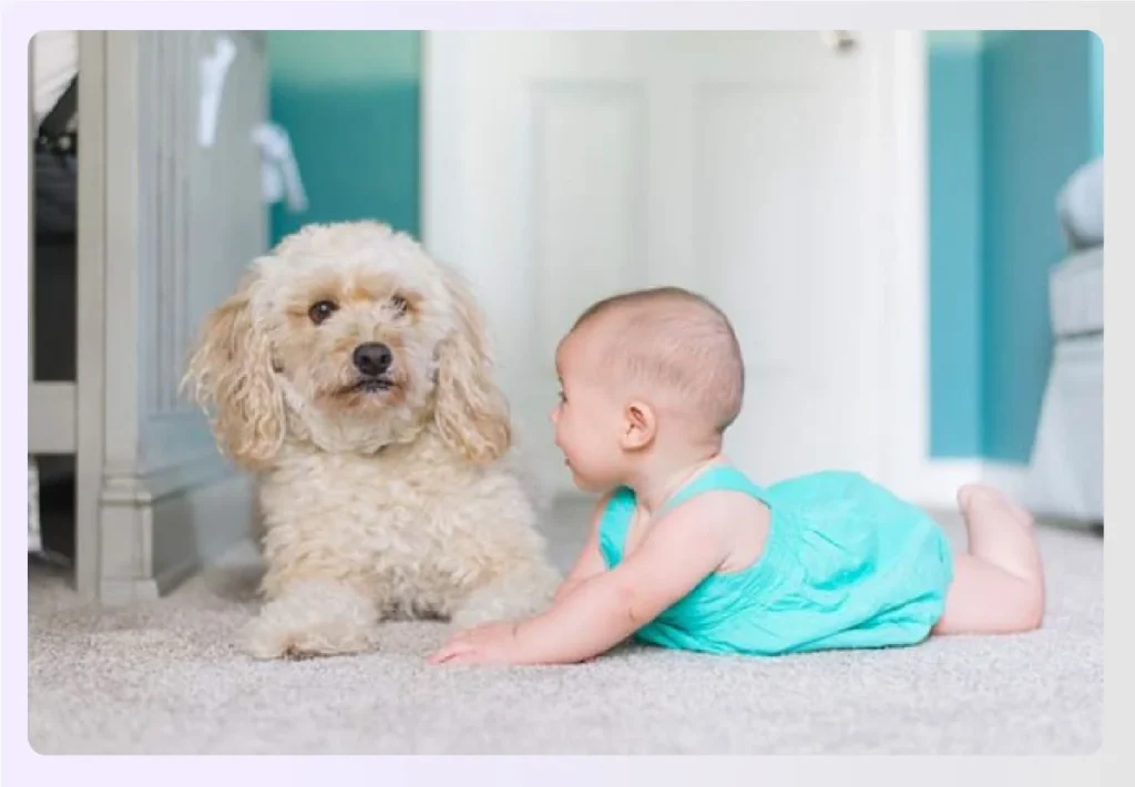Baby and dog sitting on a woolen carpet