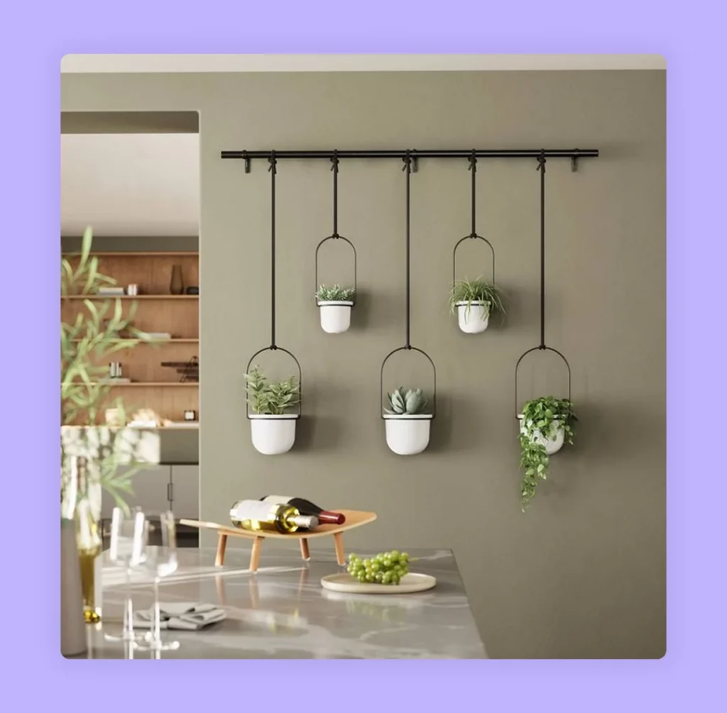 Potted plants or succulents on a blank wall