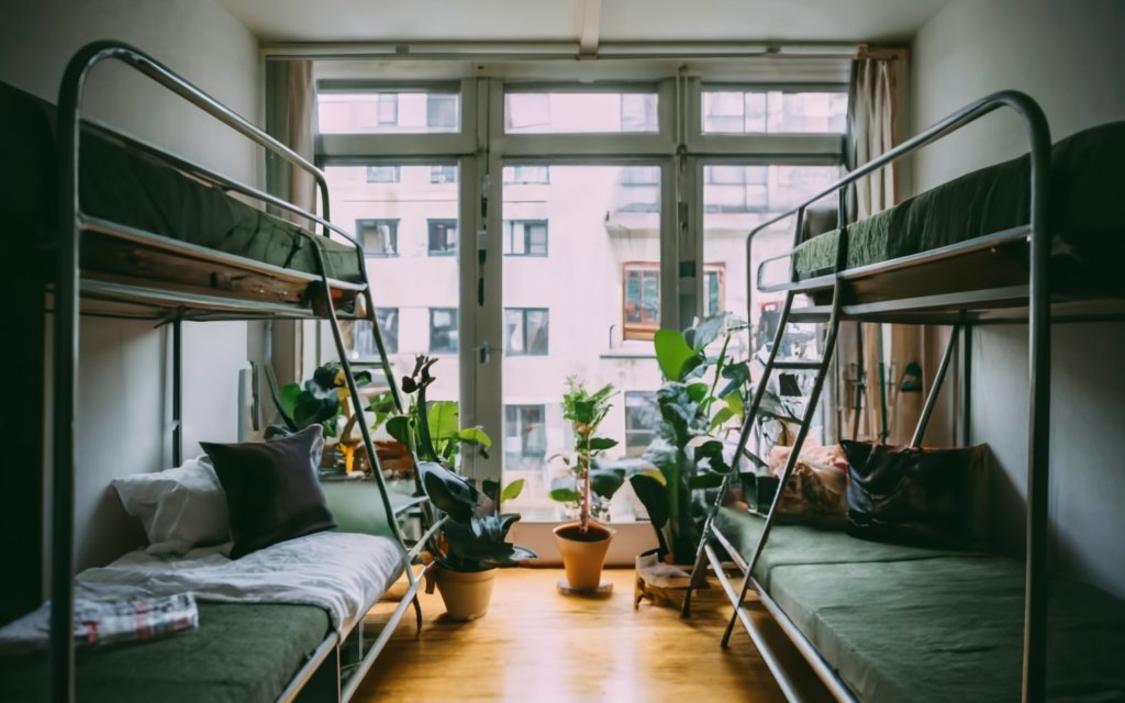 Bring-plants-in-dorm