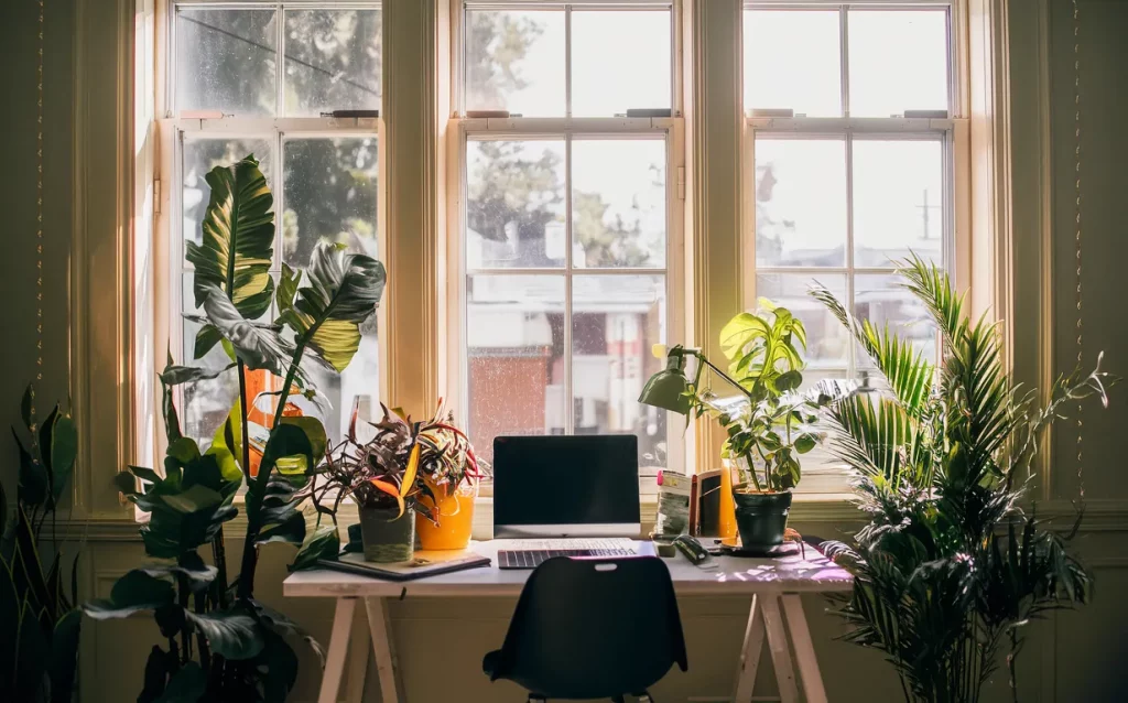 Use Plants in Your Home Office
