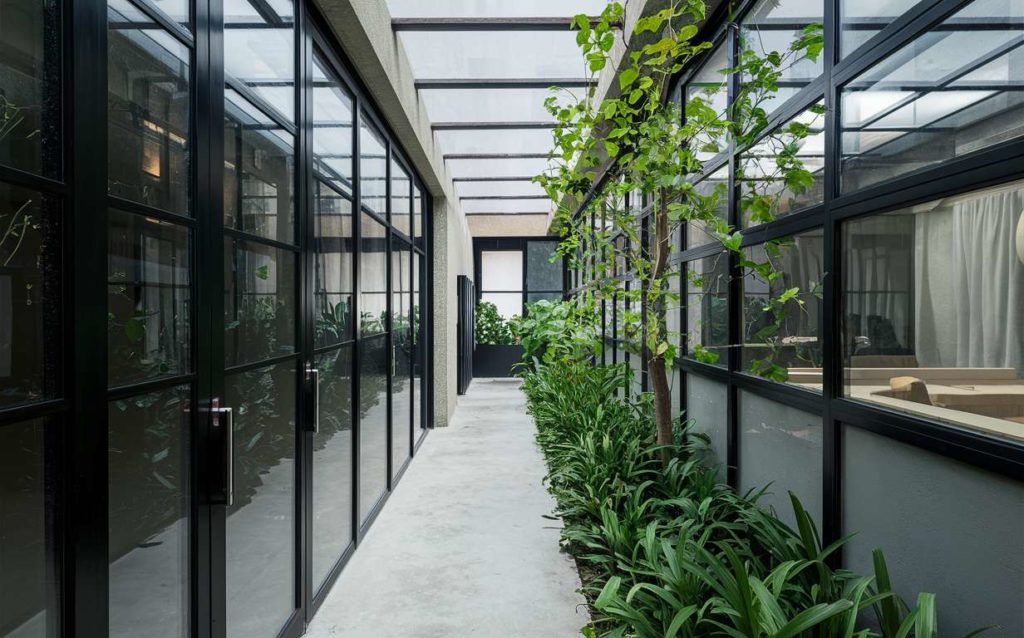 Office hallway with plants