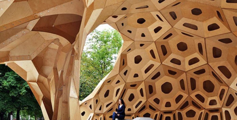 Biomimicry in Architecture and Interior Design