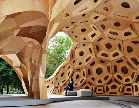 Biomimicry in Architecture and Interior Design: 10 Innovative Examples