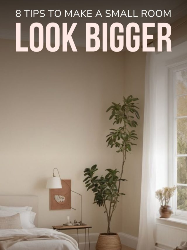 8 Tips to Make a Small Room Look Bigger