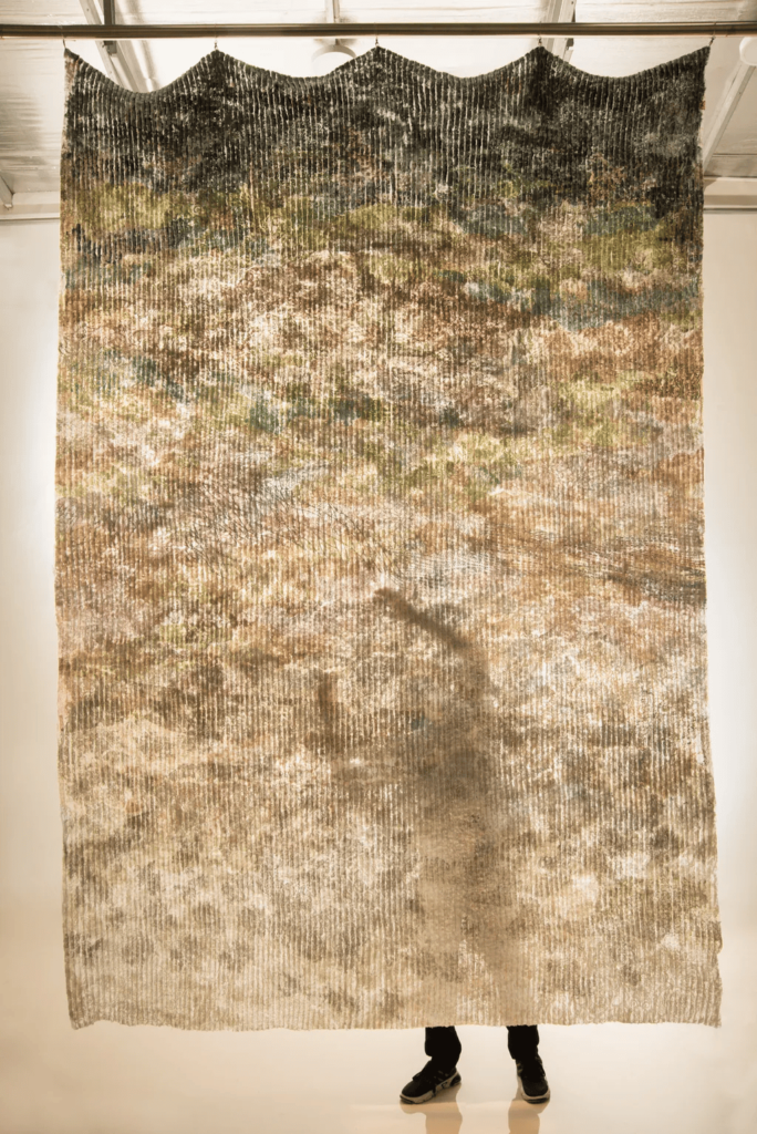 Peek A Window divider by Therapeutic
