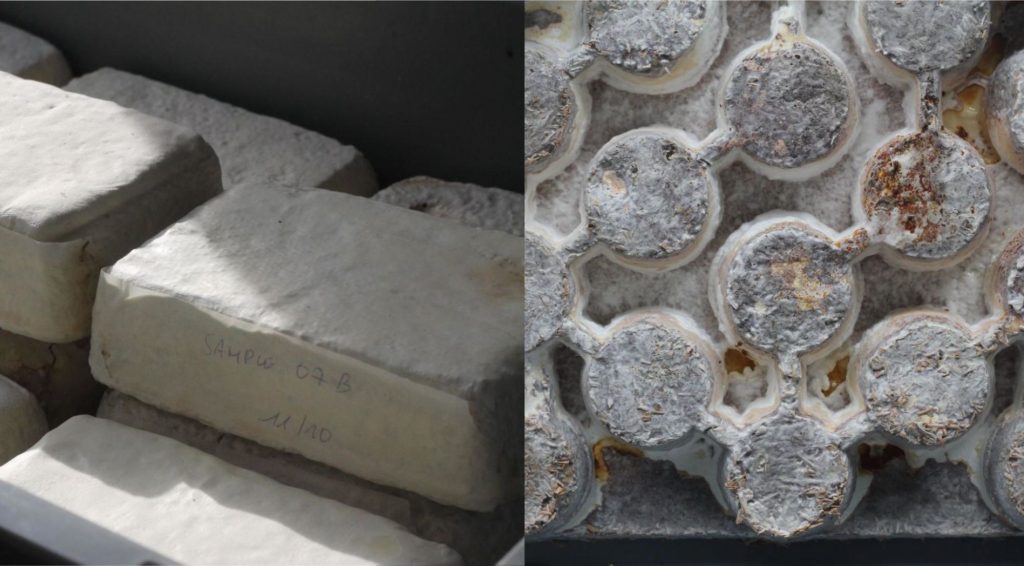 Sustainable materials for the Regenerative Cities of the future
