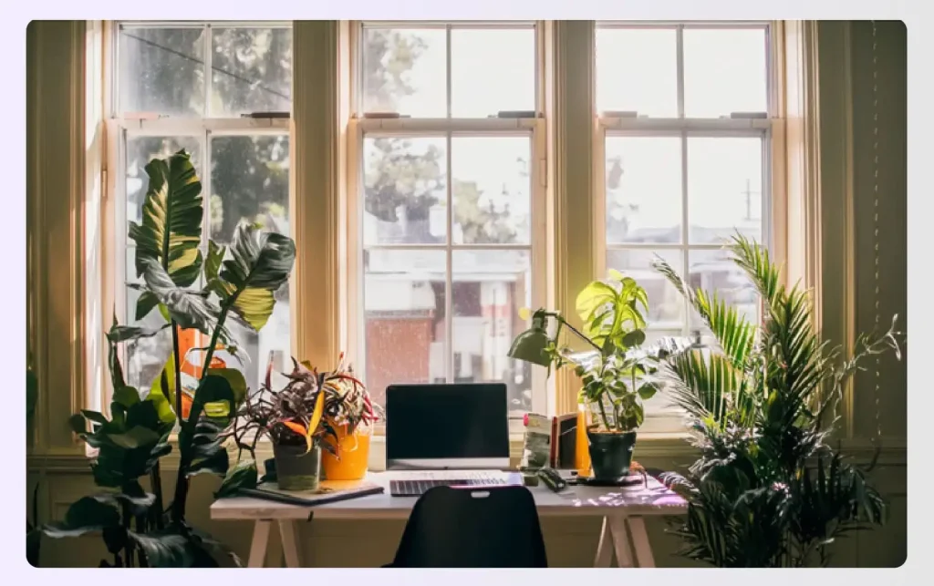 Houseplants on a desk in front of a bright window Houseplants on a desk in front of a bright window