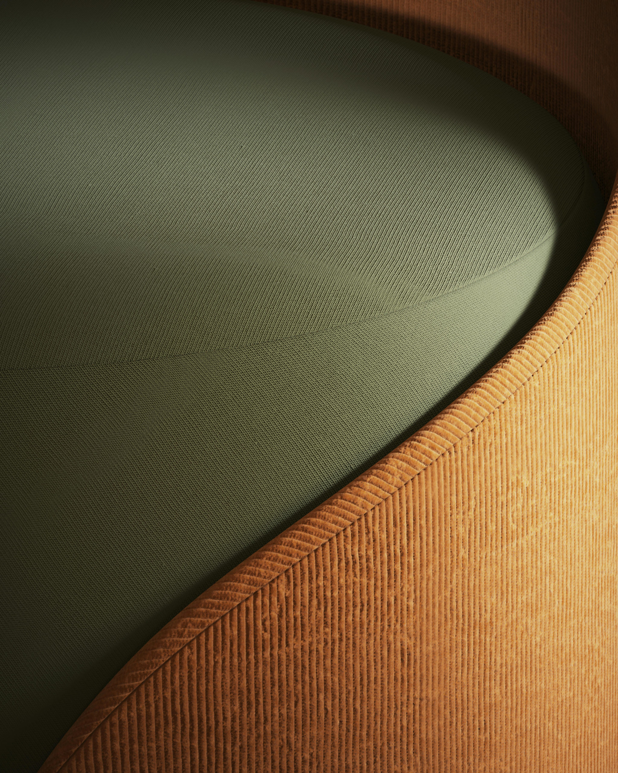 Macro Detailed Renders